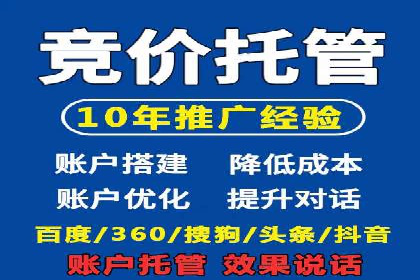 某电商平台sem竞价运营的突破与挑战