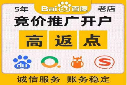 成功SEM代理案例：精准投放的策略